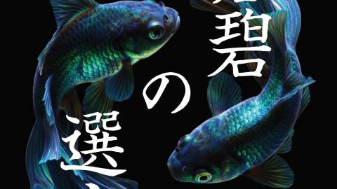 [蒼碧の選定]